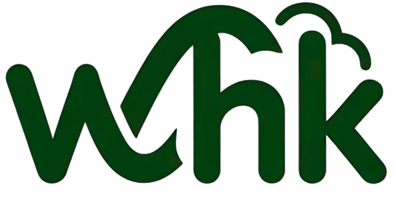 Web Hosting Kashmir